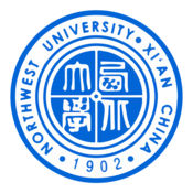 yyy46